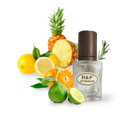 D&P A-06 promo Парфумована вода для чоловіків