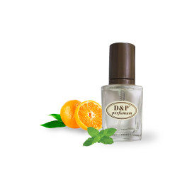 D&P R-05 promo Парфумована вода для чоловіків 