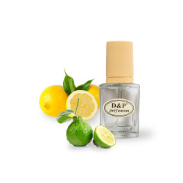 D&P R-08 promo Парфумована вода для жінок
