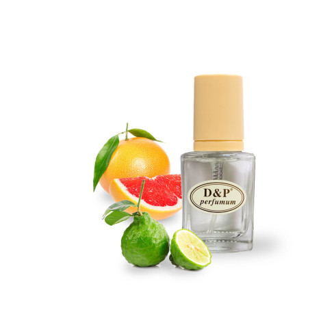 D&P V-02 promo Парфумована вода для жінок