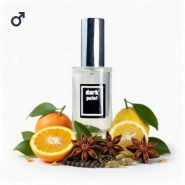 Dark Point B-104 Парфумована вода для чоловіків