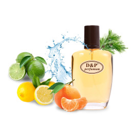 D&P C-08 Парфумована вода для чоловіків