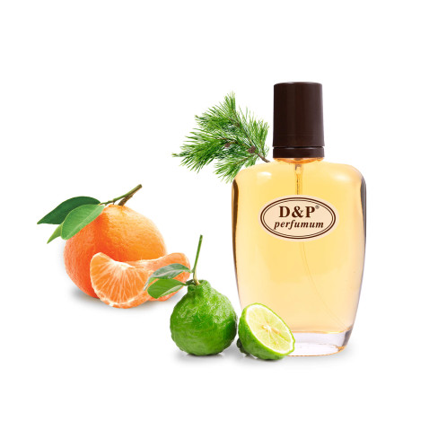 D&P C-16 Парфумована вода для чоловіків 