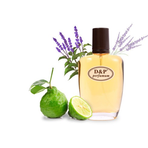 D&P D-10 Парфумована вода для чоловіків