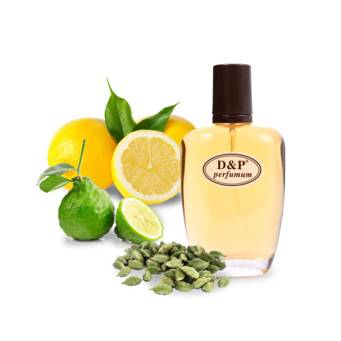 D&P S-01 Парфумована вода для чоловіків