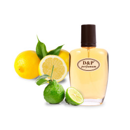 D&P V-02 Парфумована вода для чоловіків
