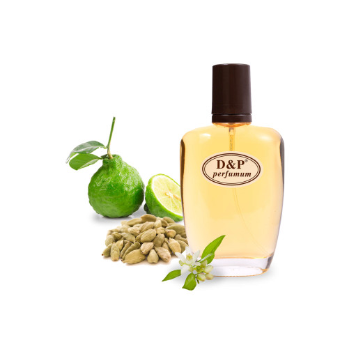 D&P Z-05 Нішева парфумерія