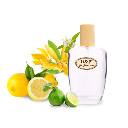 D&P C-09 Парфумована вода для жінок D&P C-09 Парфумована вода для жінок