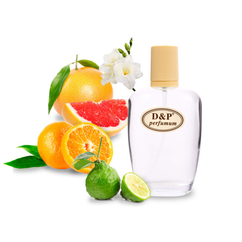 D&P C-31 Парфумована вода для жінок