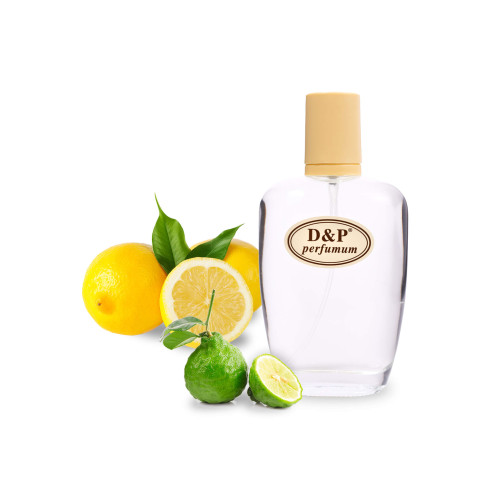 D&P R-08 Парфумована вода для жінок