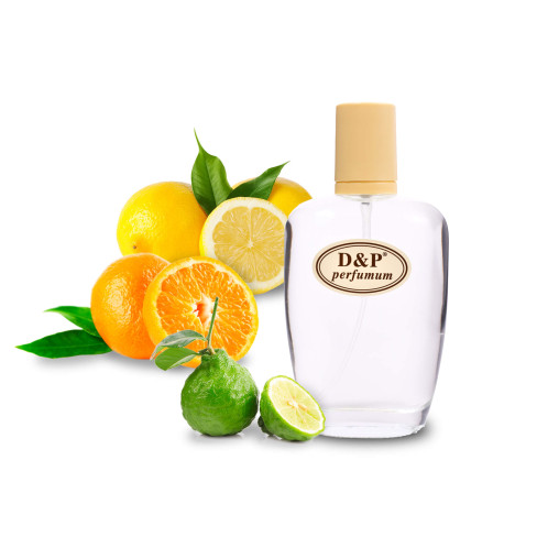 D&P S-01 Нішева парфумерія