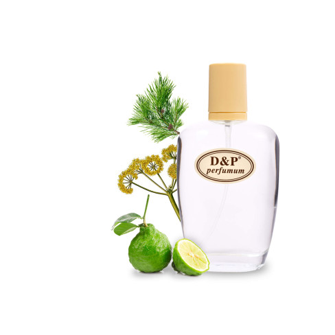 D&P Y-02 Парфумована вода для жінок D&P Y-02 Парфумована вода для жінок