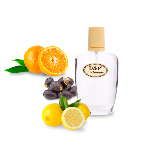 D&P H-11 Нішева парфумерія